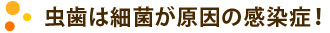 虫歯は細菌が原因の感染症！