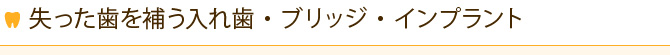 失った歯を補う入れ歯・ブリッジ・インプラント
