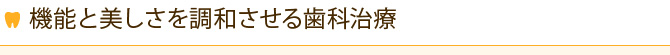 機能と美しさを調和させる歯科治療